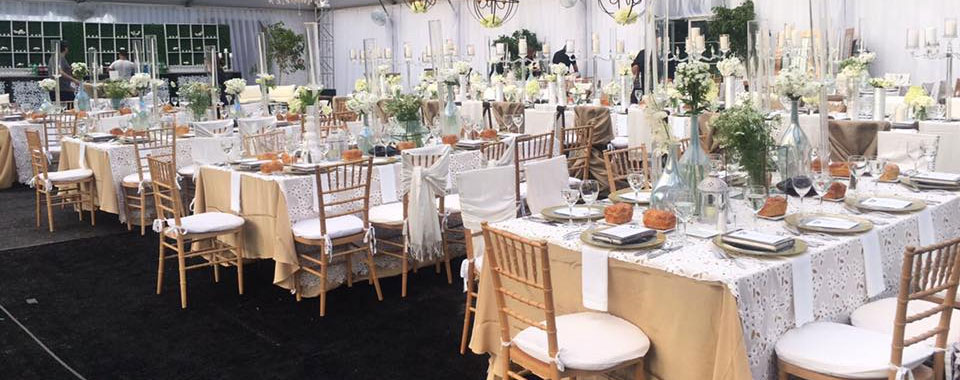 Guide to Renting Party Chairs and Tables for Your Next Event